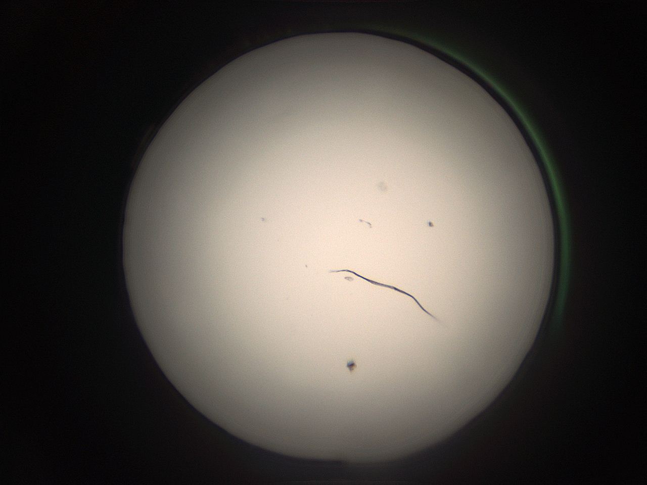 05ra_A7_ImagerDefaults_1.jpg