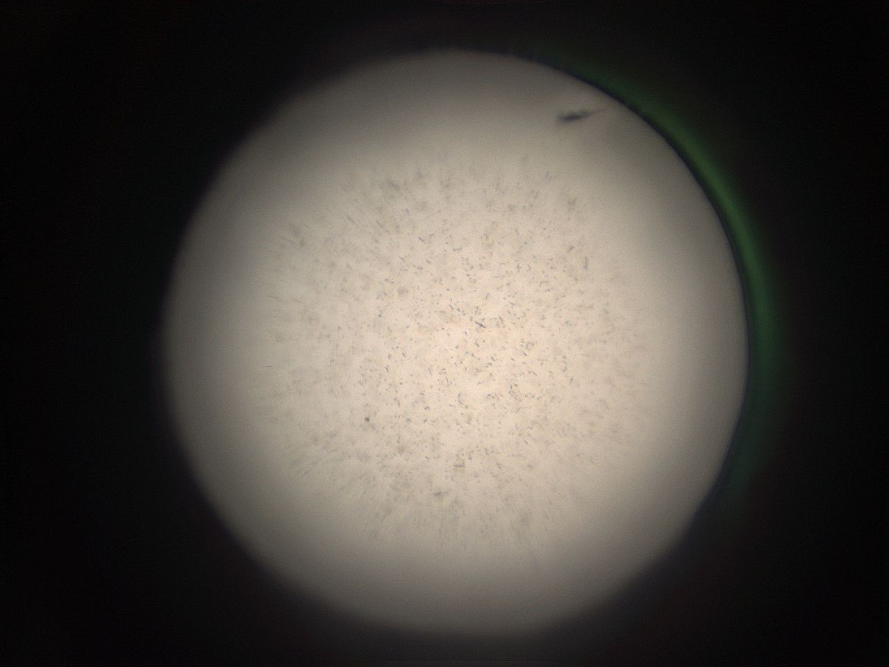 05ra_F1_ImagerDefaults_9.jpg