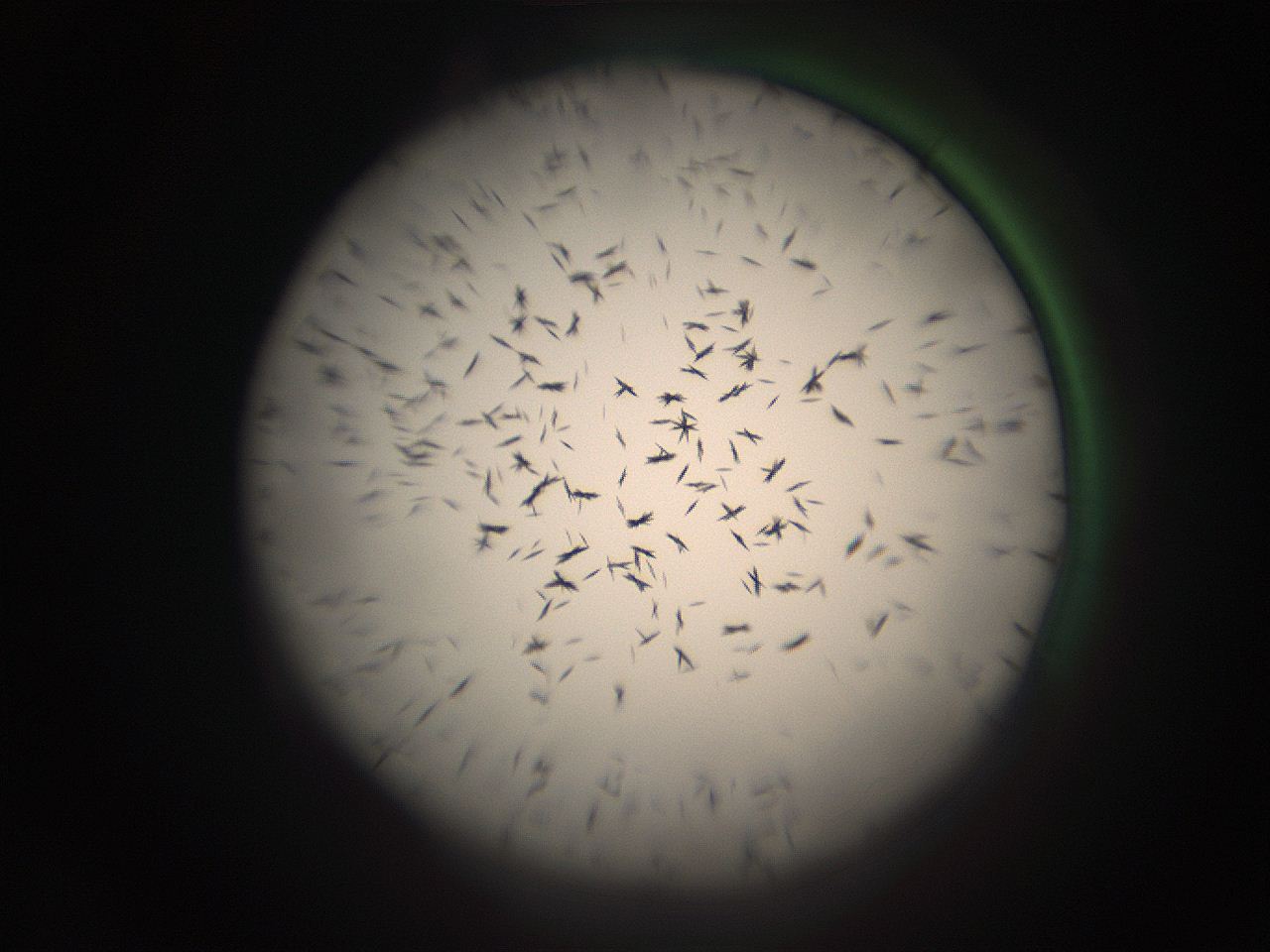05ra_G13_ImagerDefaults_9.jpg