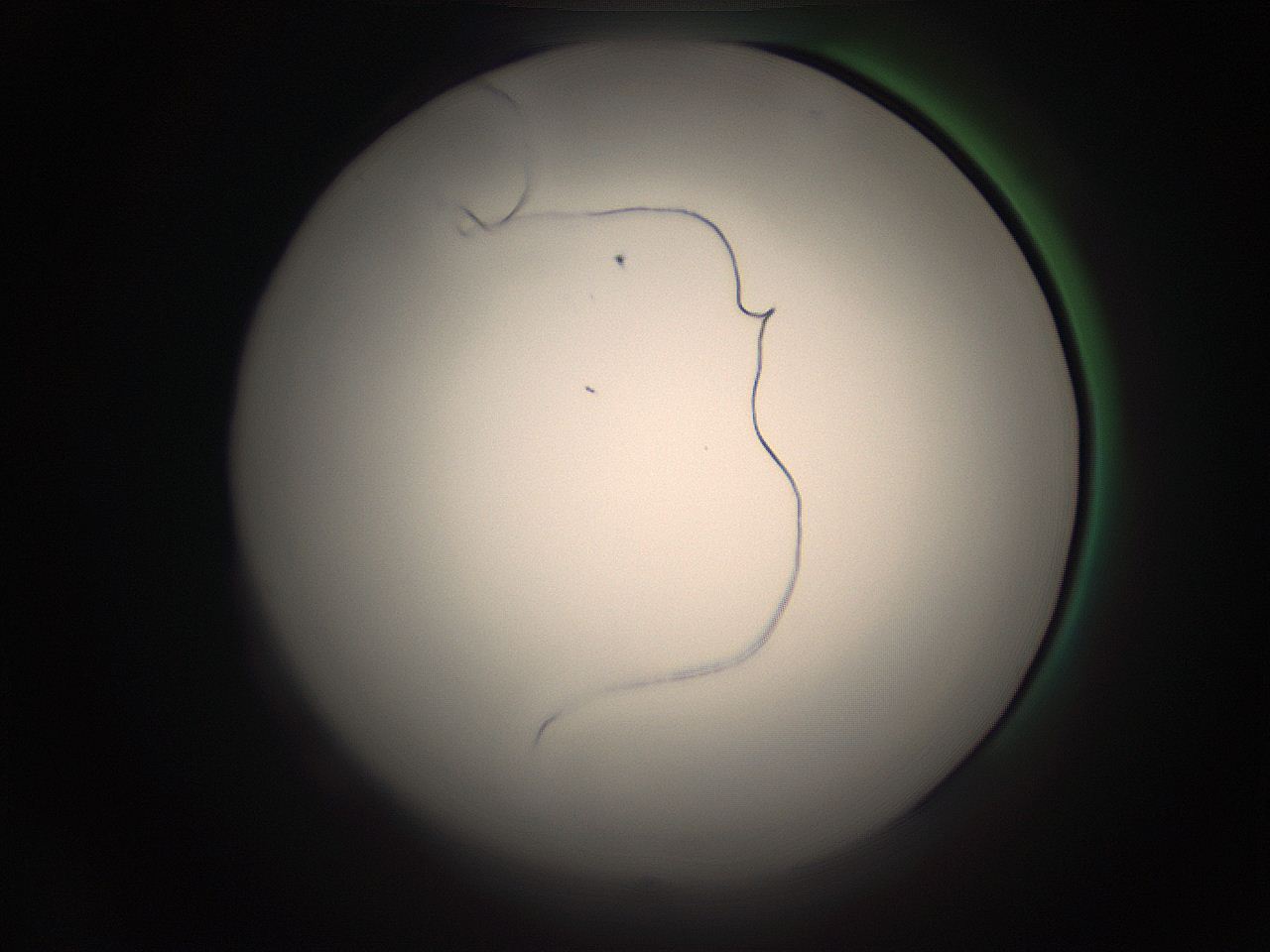05ra_K22_ImagerDefaults_1.jpg