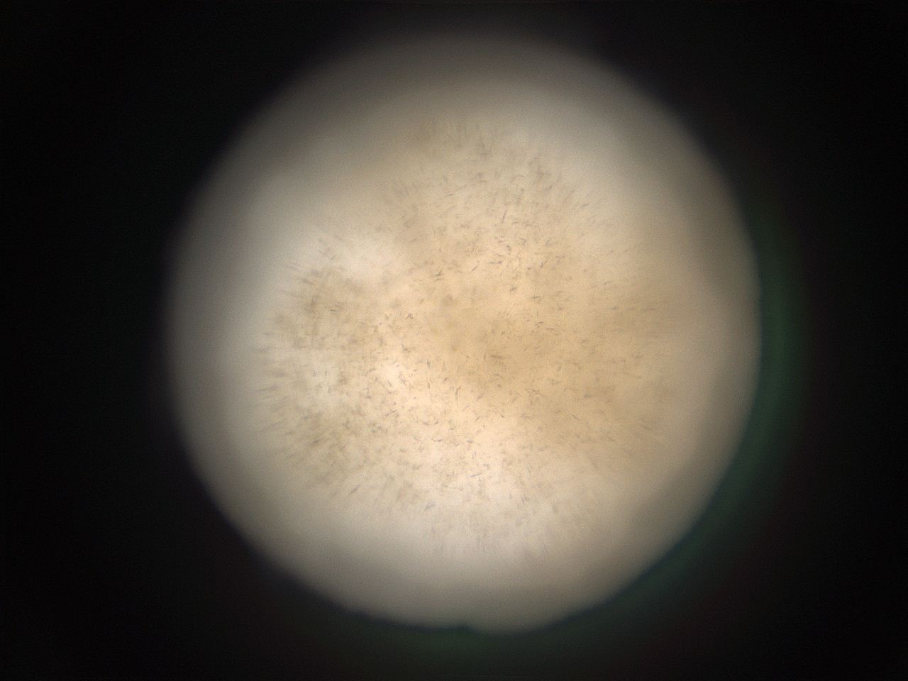 05ra_L2_ImagerDefaults_9.jpg