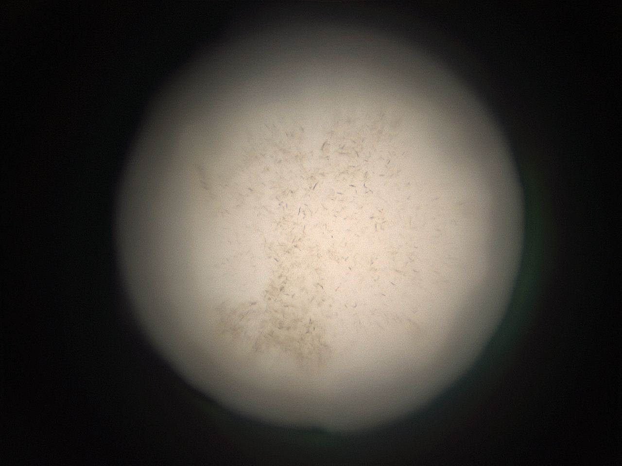 05ra_L4_ImagerDefaults_9.jpg
