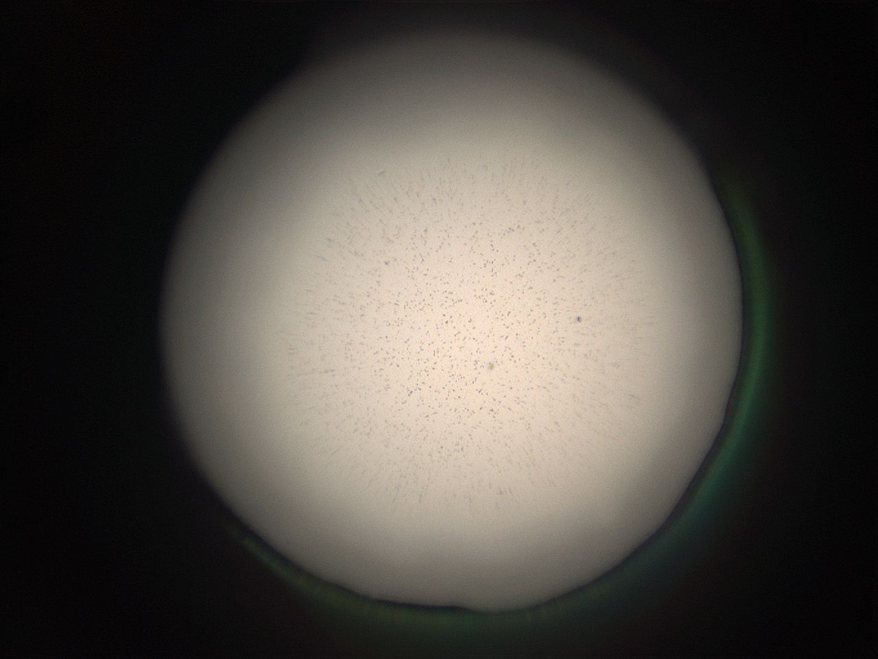 05ra_O4_ImagerDefaults_9.jpg