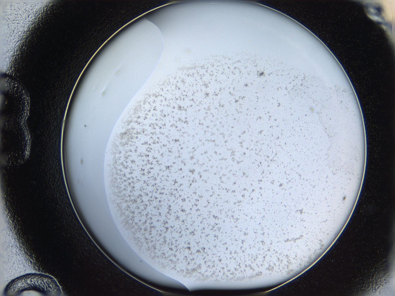 05sc_B12_ImagerDefaults_7.jpg