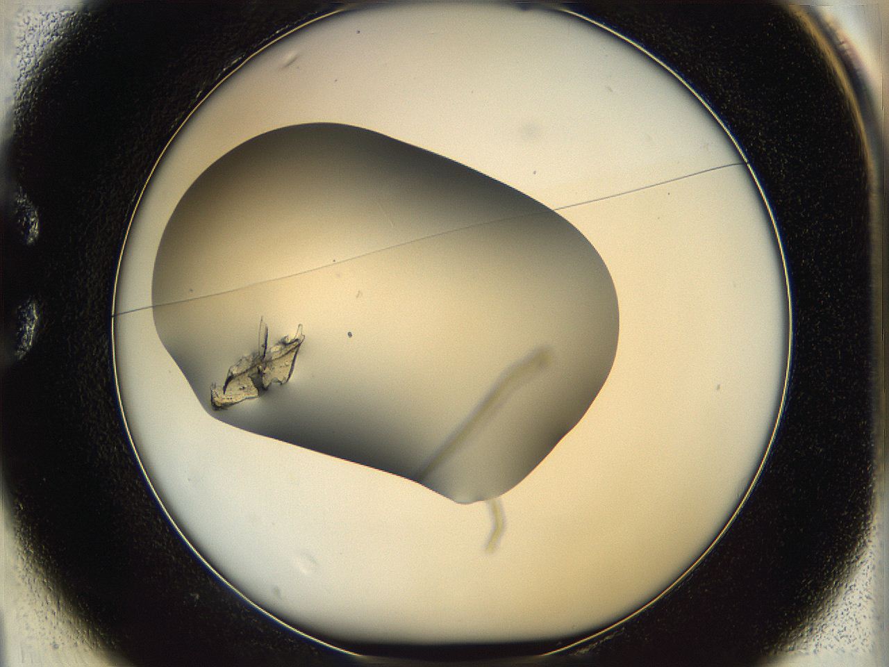 05sd_C1_ImagerDefaults_6.jpg