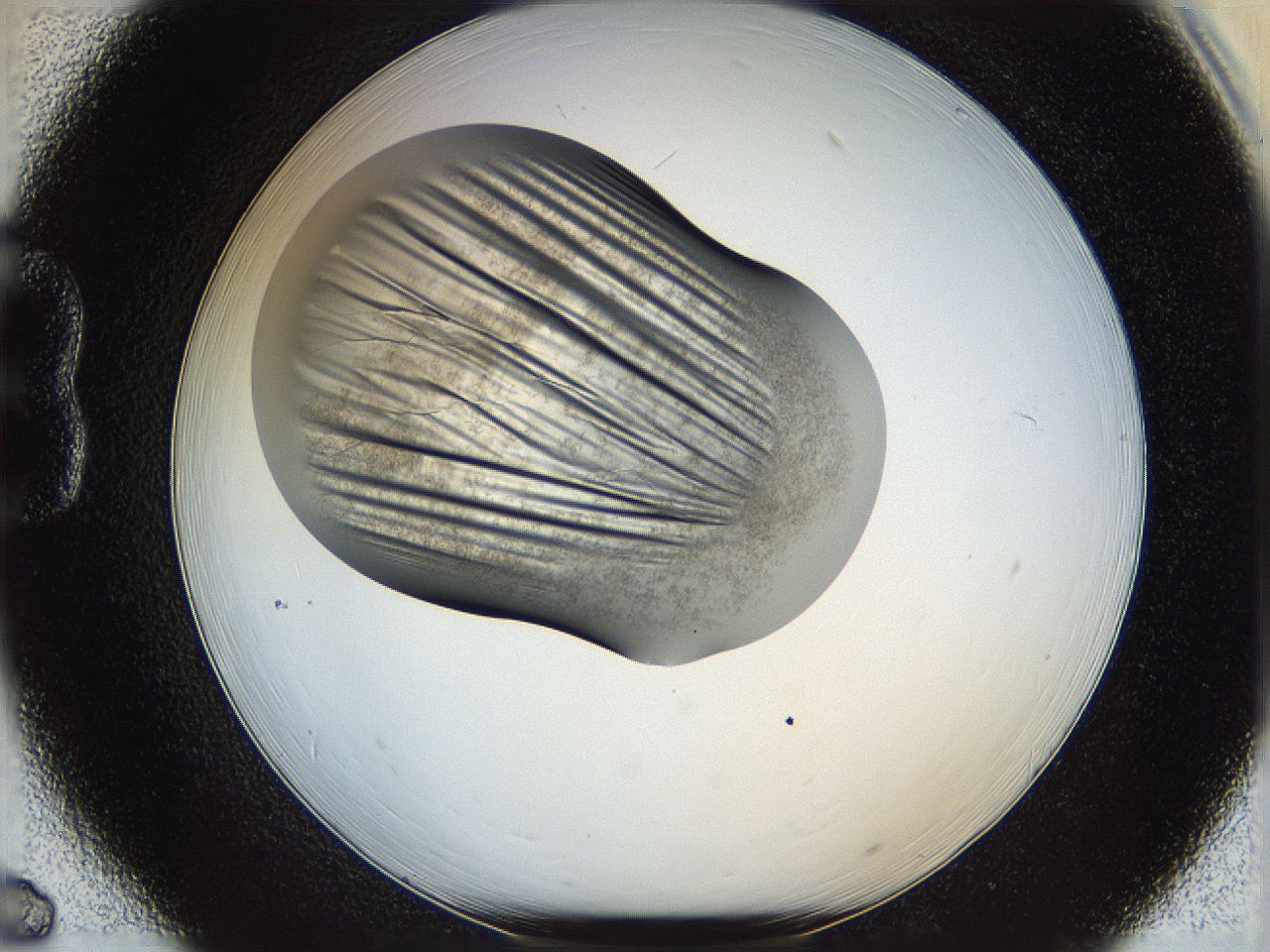 05sf_B6_ImagerDefaults_6.jpg
