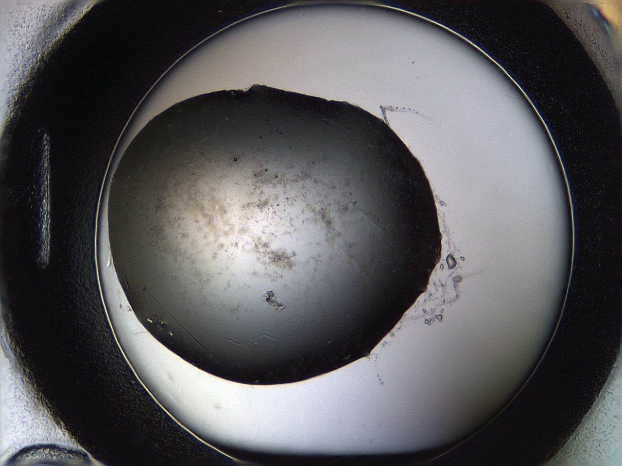 05sg_H12_ImagerDefaults_9.jpg
