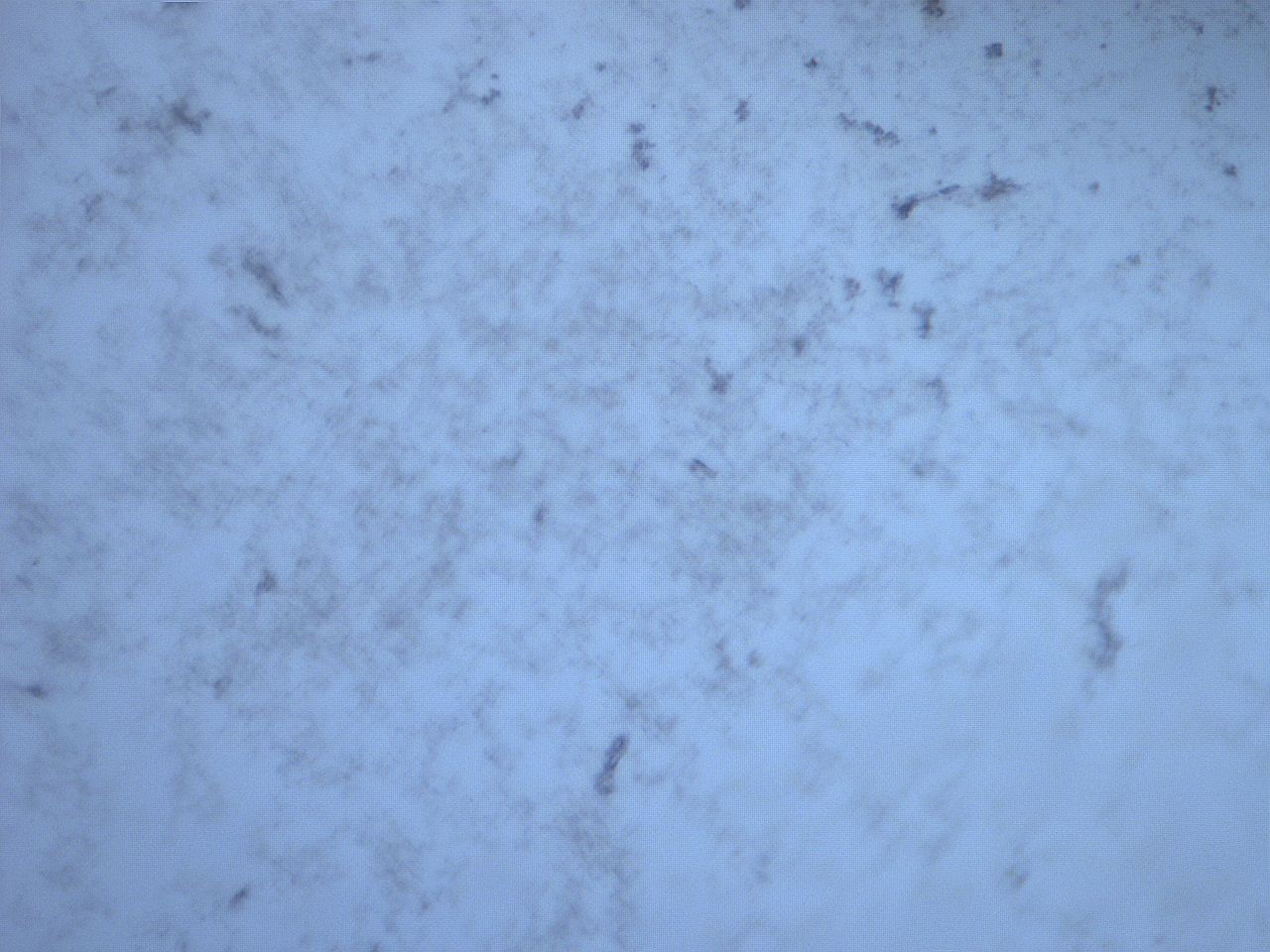 05so_F2_ImagerDefaults_9.jpg
