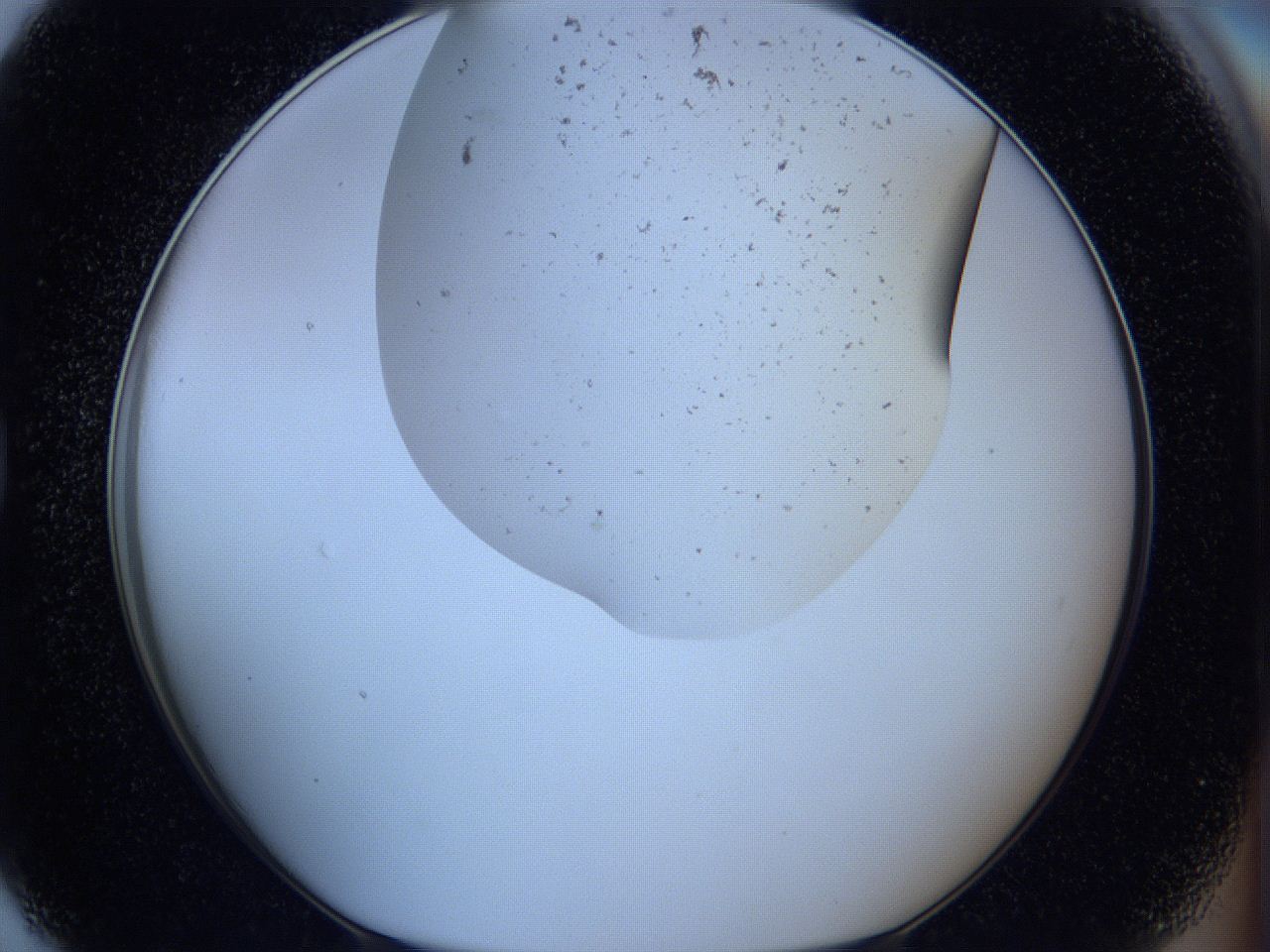 05so_G7_ImagerDefaults_9.jpg