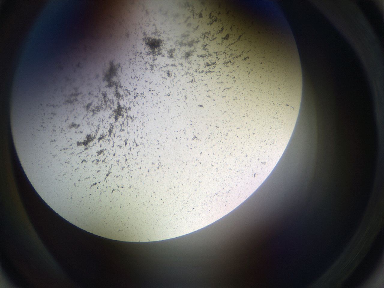 05sp_A1_ImagerDefaults_3.jpg