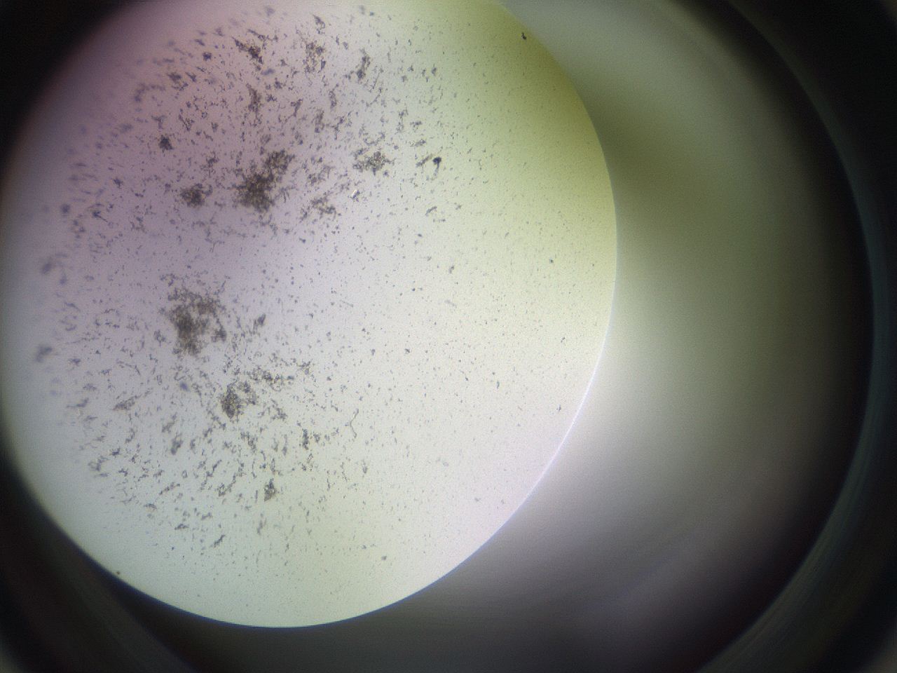 05sp_A2_ImagerDefaults_3.jpg