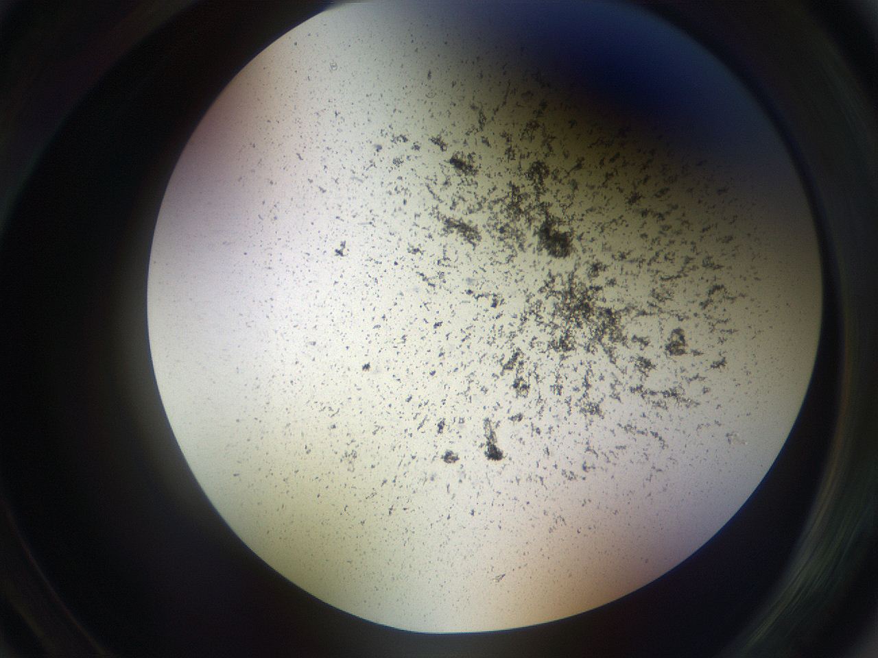 05sp_A3_ImagerDefaults_3.jpg