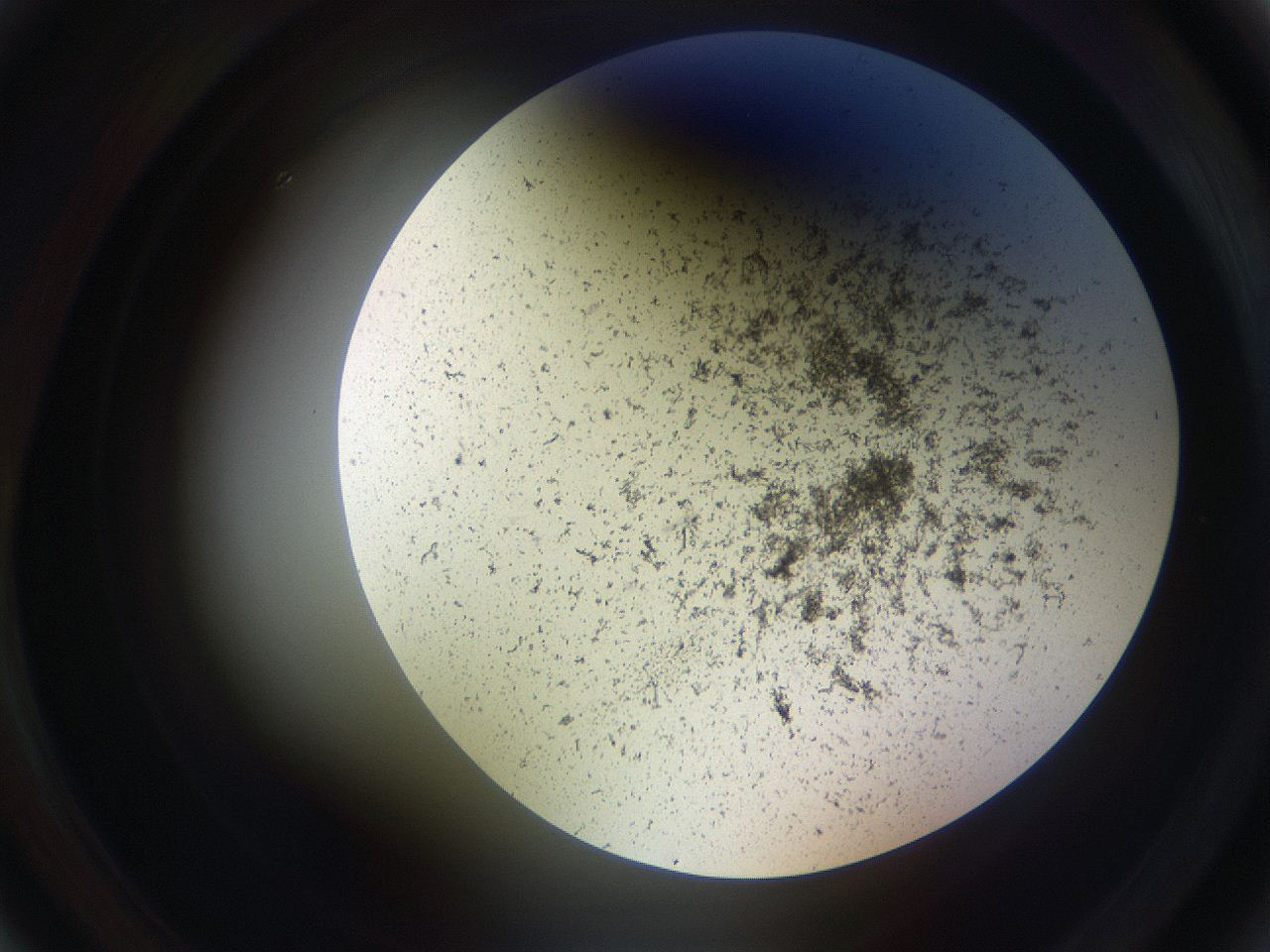 05sp_A4_ImagerDefaults_3.jpg