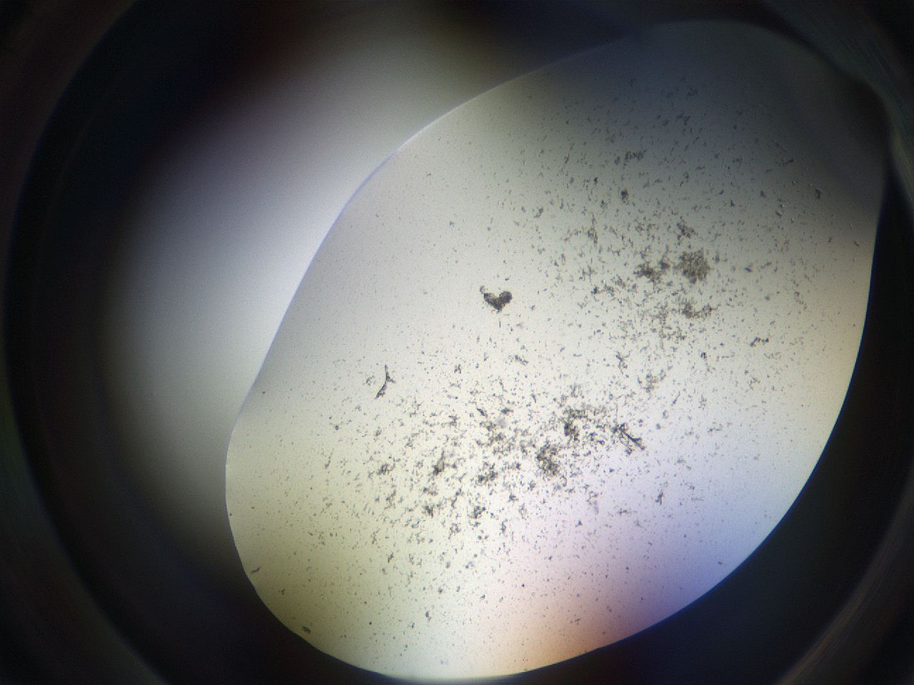 05sp_A5_ImagerDefaults_3.jpg