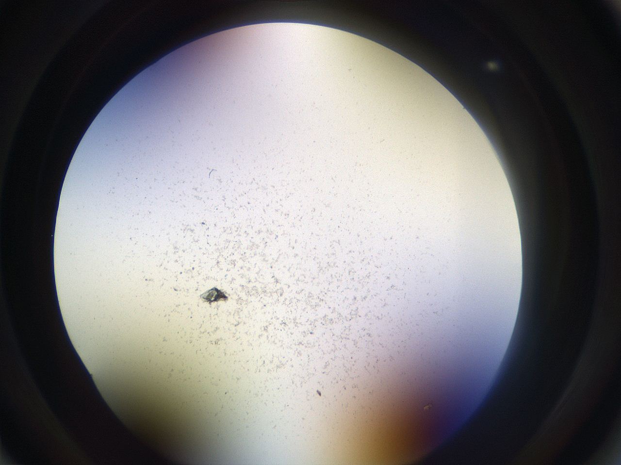 05sp_B1_ImagerDefaults_3.jpg