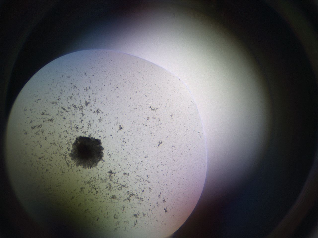 05sp_B2_ImagerDefaults_3.jpg