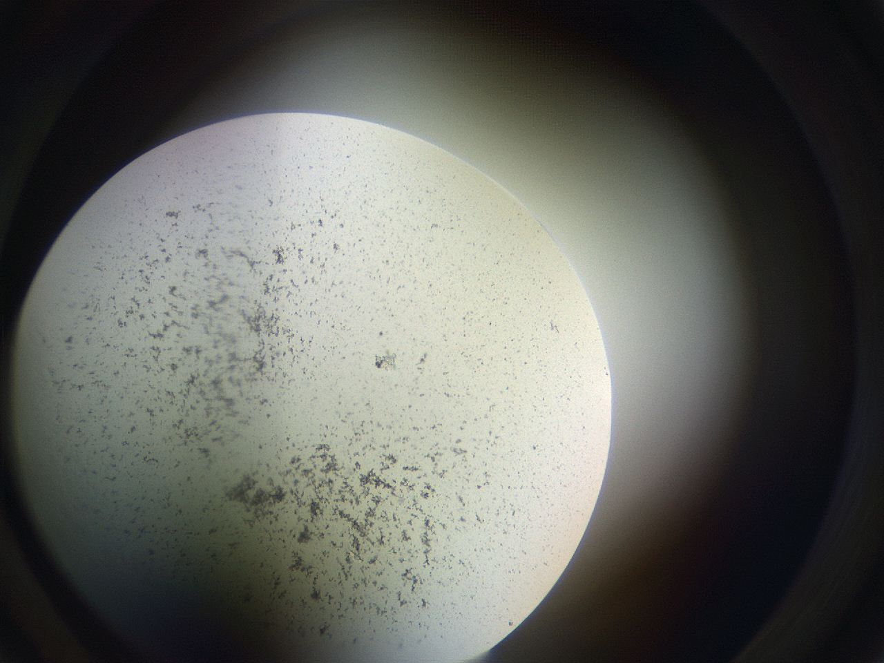 05sp_B3_ImagerDefaults_3.jpg