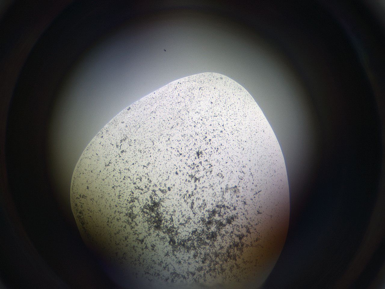 05sp_C4_ImagerDefaults_3.jpg