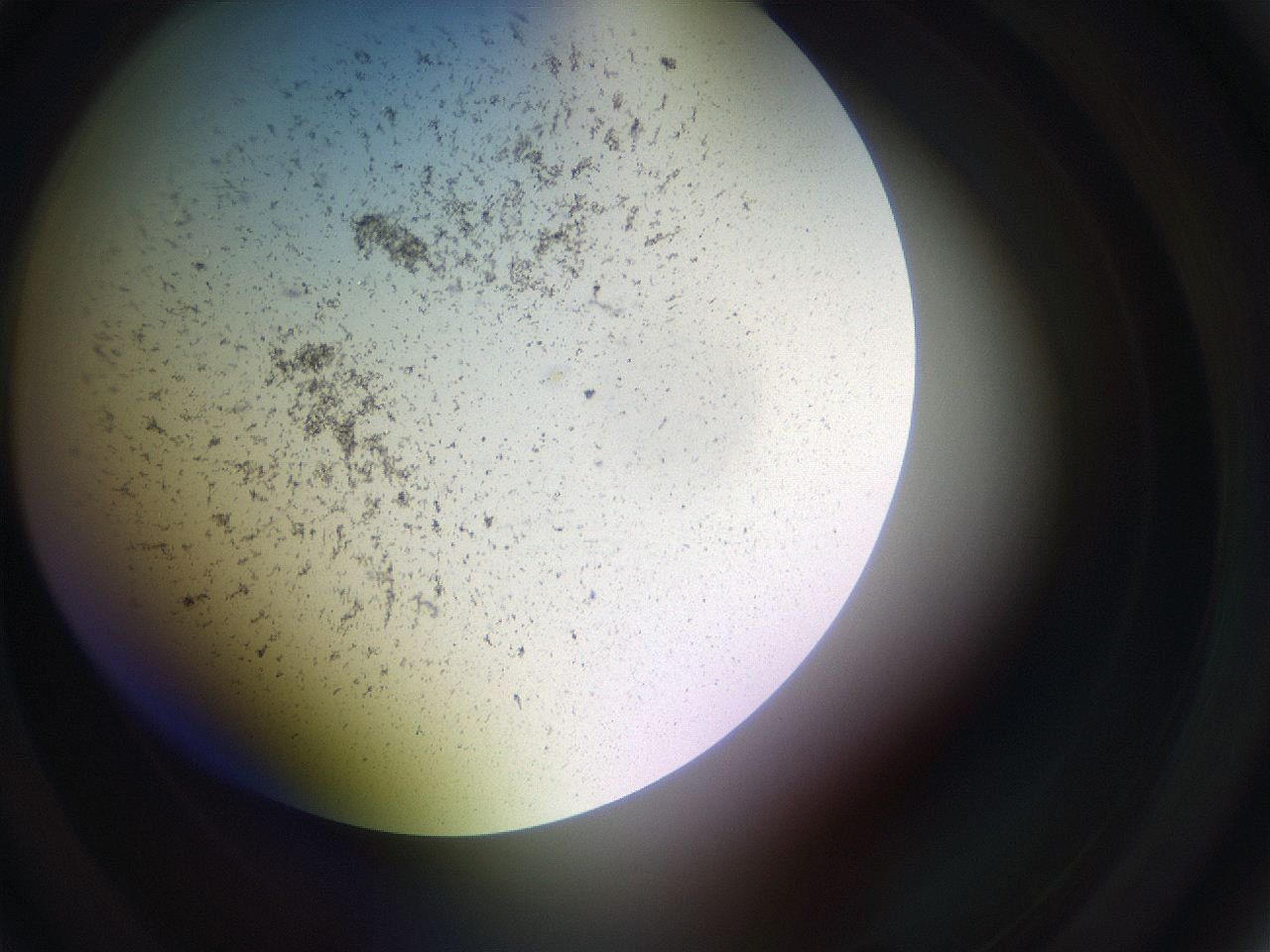 05sp_C2_ImagerDefaults_3.jpg