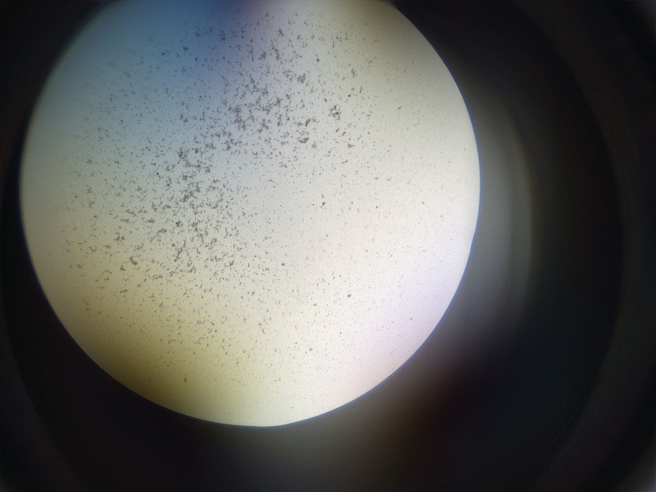 05sp_C1_ImagerDefaults_3.jpg