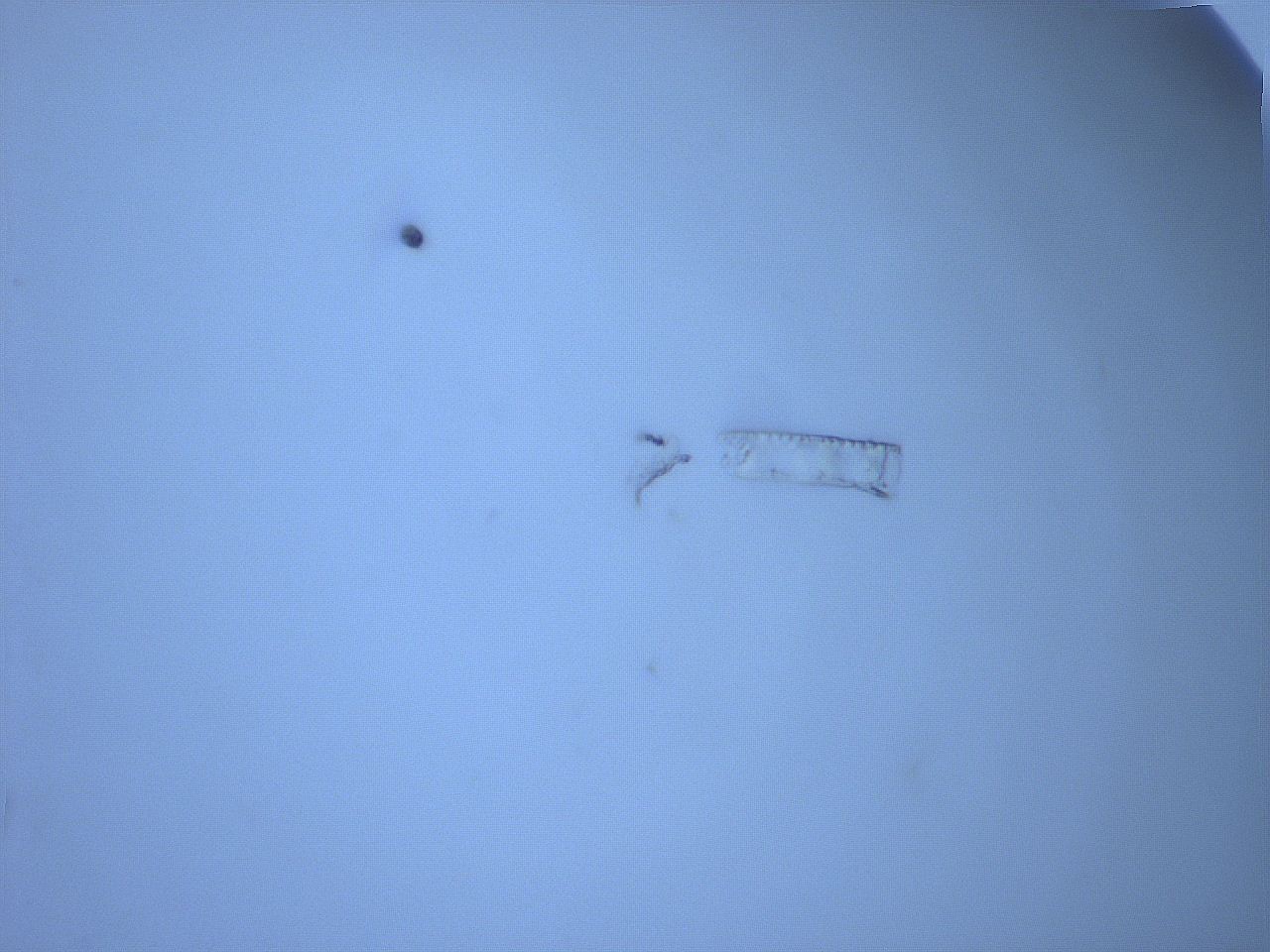 05sq_C8_ImagerDefaults_1.jpg