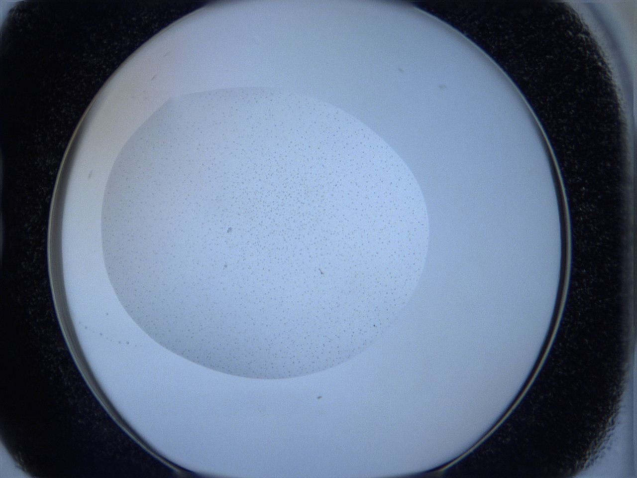 05sq_B5_ImagerDefaults_6.jpg