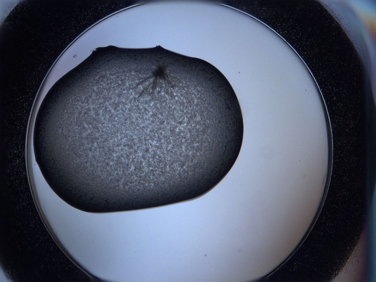 05ss_H9_ImagerDefaults_9.jpg