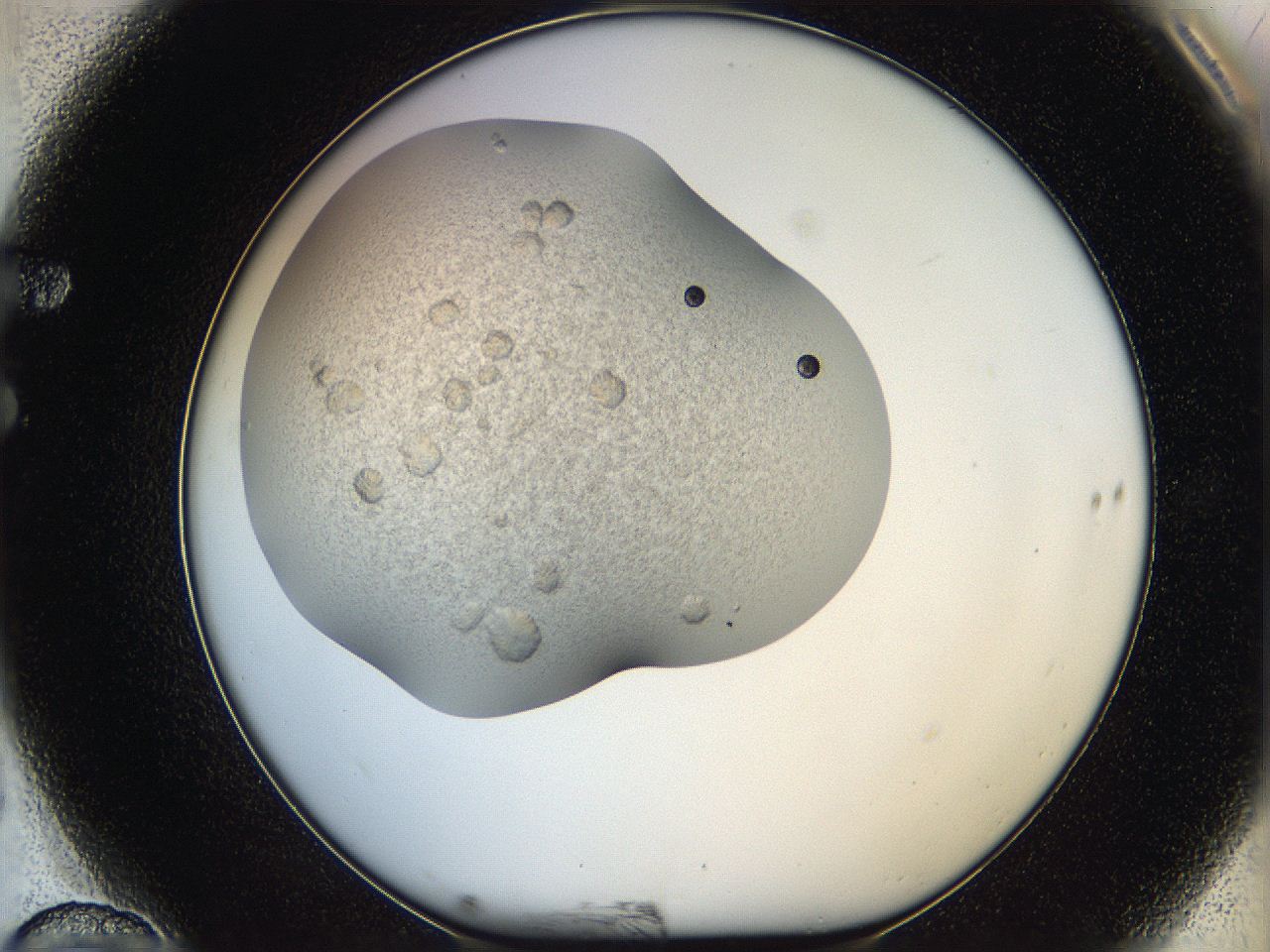 05sv_F10_ImagerDefaults_6.jpg