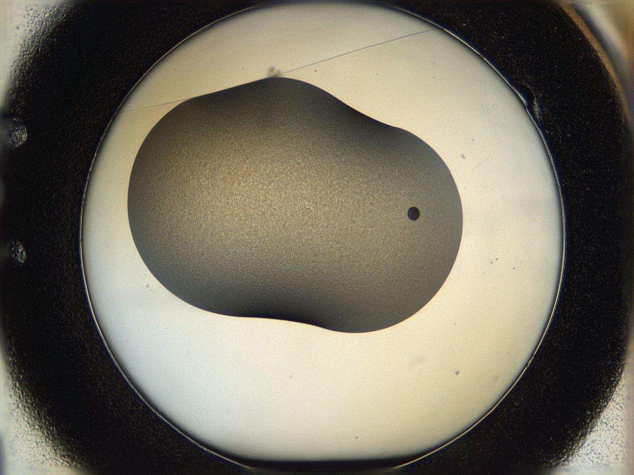 05sv_E1_ImagerDefaults_6.jpg