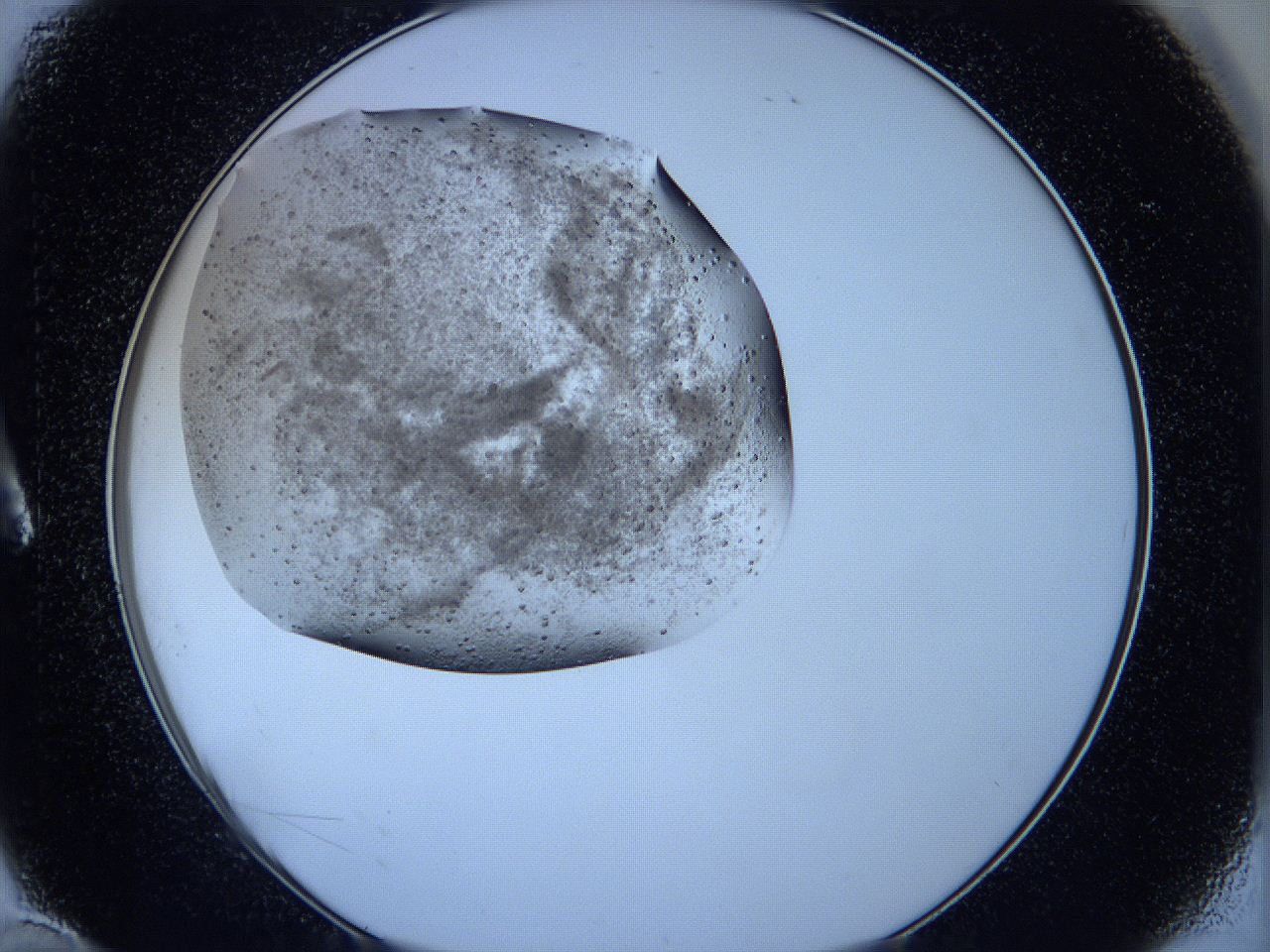 05sw_A10_ImagerDefaults_6.jpg