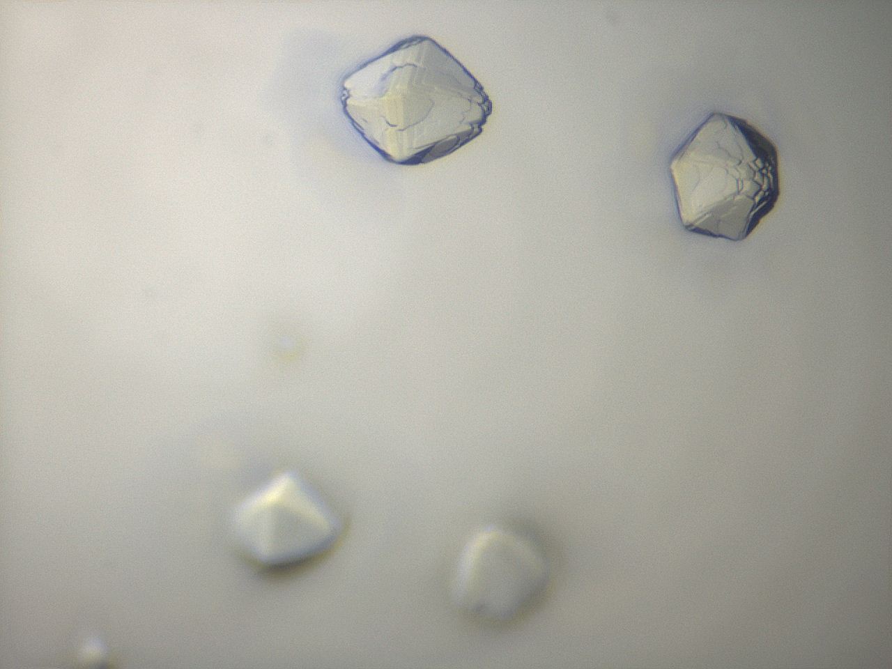 05sx_A9_ImagerDefaults_9.jpg