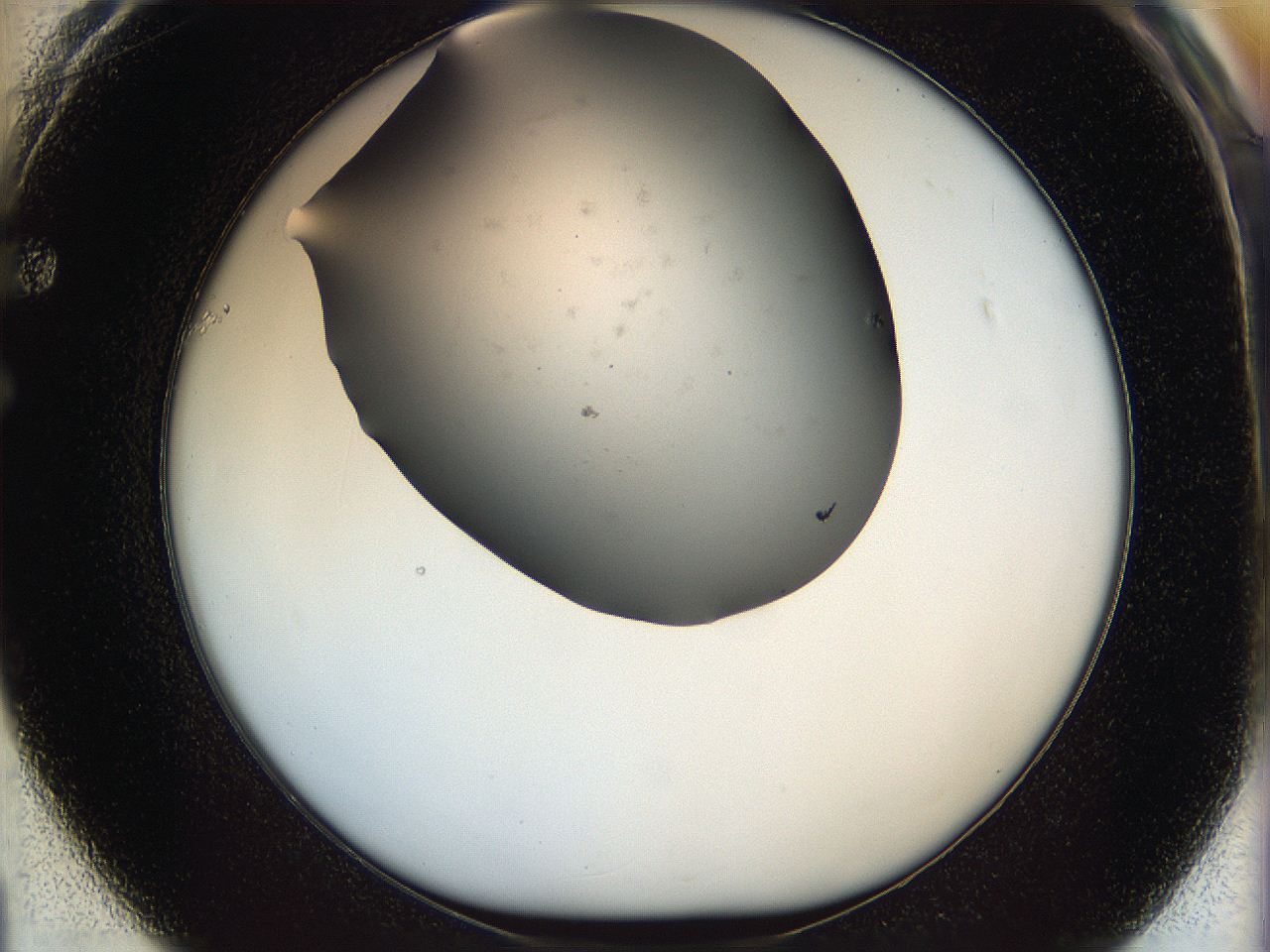 05t7_F1_ImagerDefaults_6.jpg
