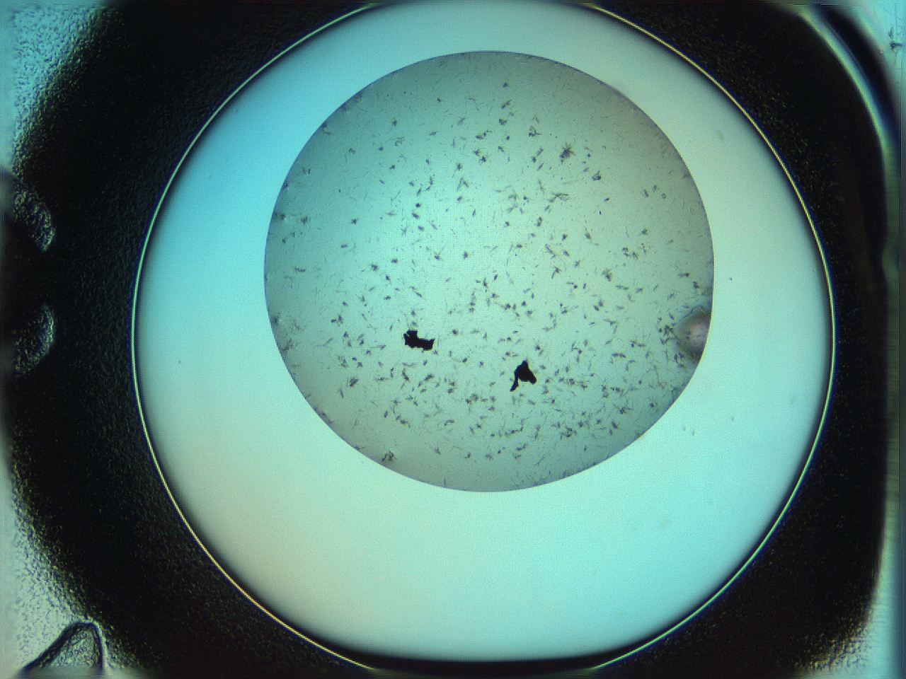 05td_C11_ImagerDefaults_6.jpg