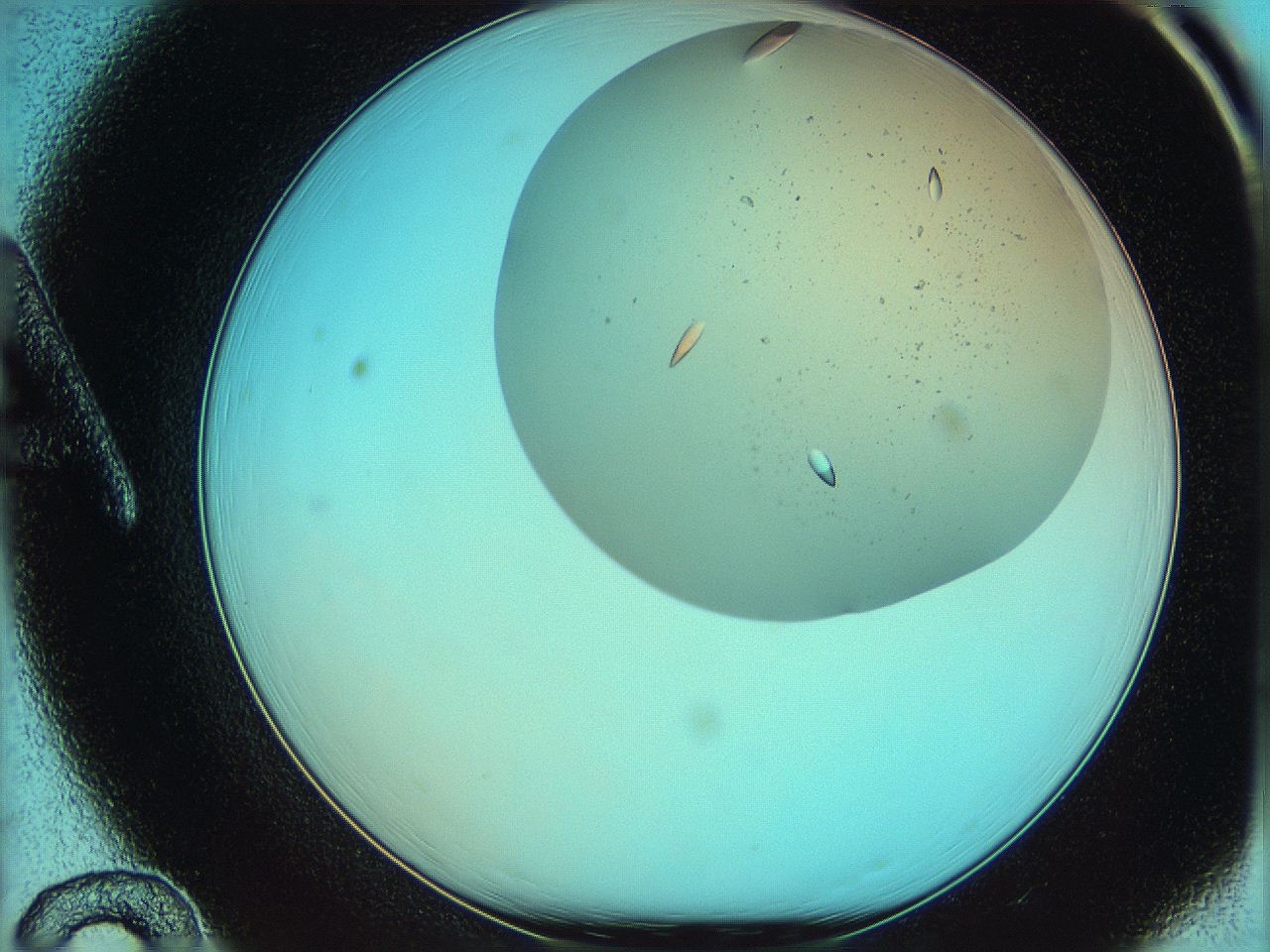 05th_A12_ImagerDefaults_6.jpg