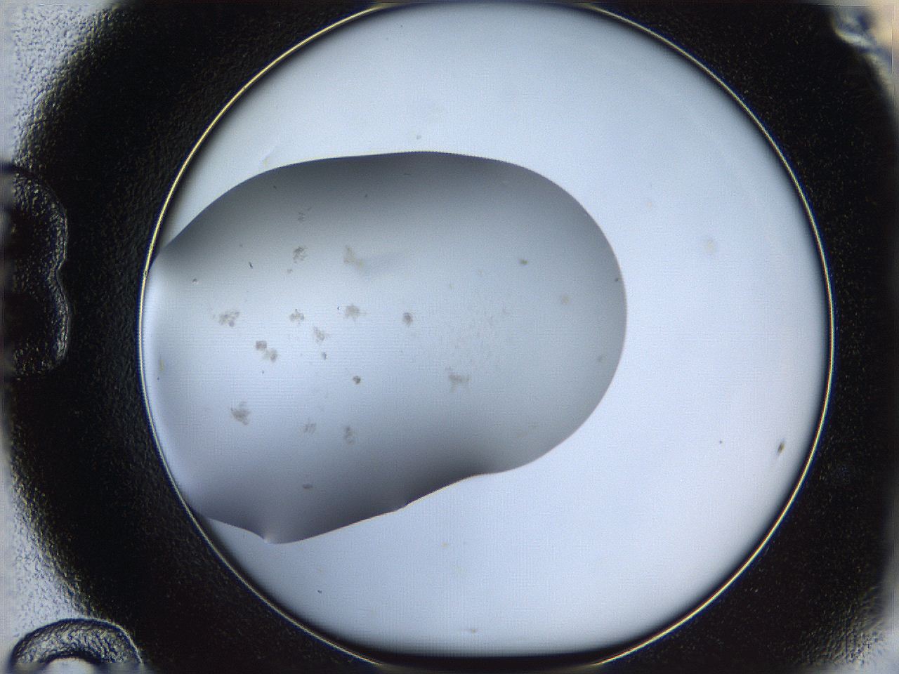05tv_B12_ImagerDefaults_6.jpg