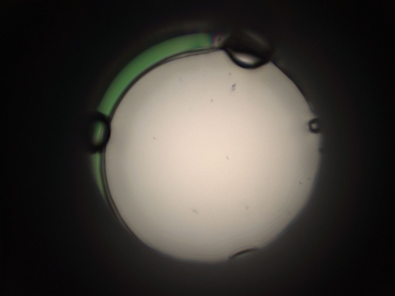 05tz_A24_ImagerDefaults_1.jpg