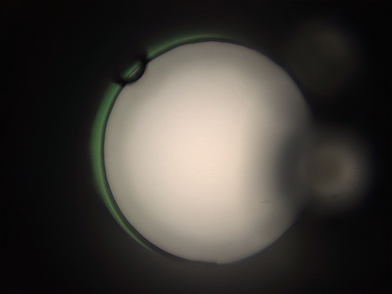 05tz_D6_ImagerDefaults_1.jpg