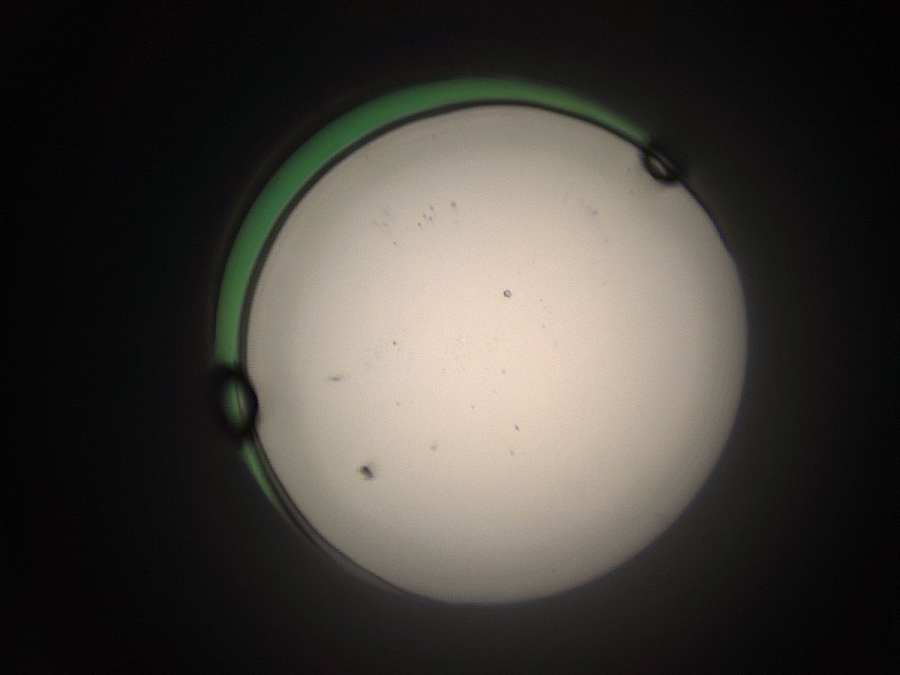 05tz_A14_ImagerDefaults_1.jpg