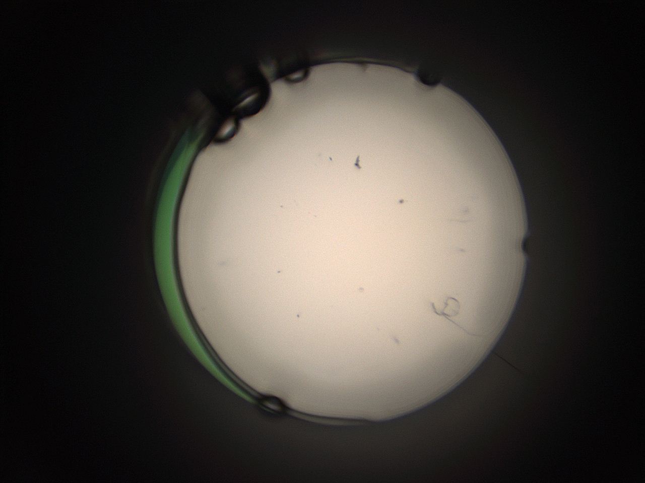 05tz_A1_ImagerDefaults_1.jpg