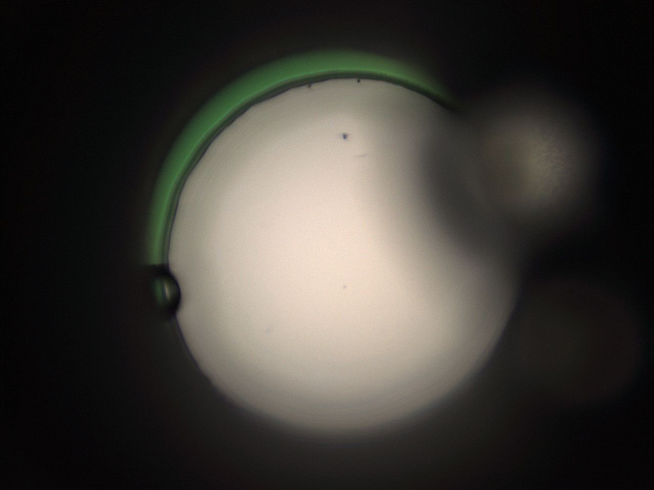 05tz_E22_ImagerDefaults_1.jpg