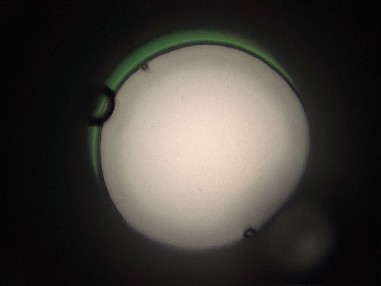 05tz_F20_ImagerDefaults_1.jpg