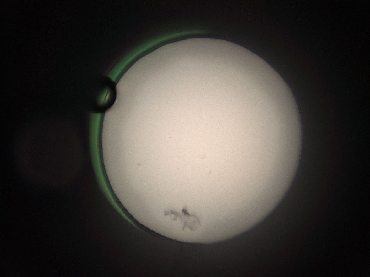 05tz_G4_ImagerDefaults_1.jpg