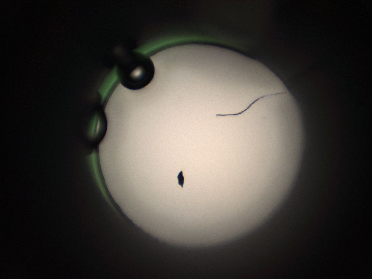 05tz_H11_ImagerDefaults_1.jpg