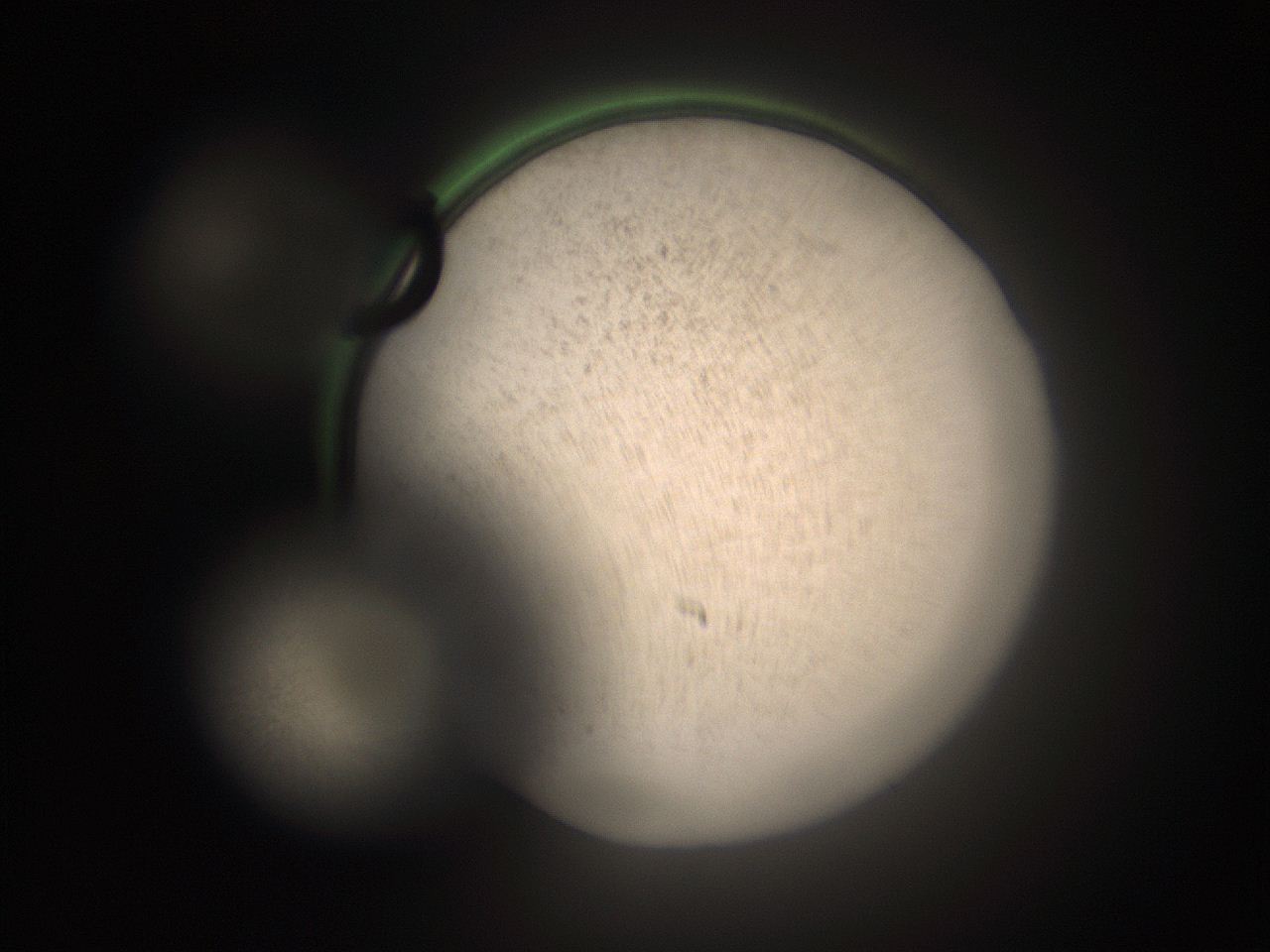 05tz_J14_ImagerDefaults_9.jpg