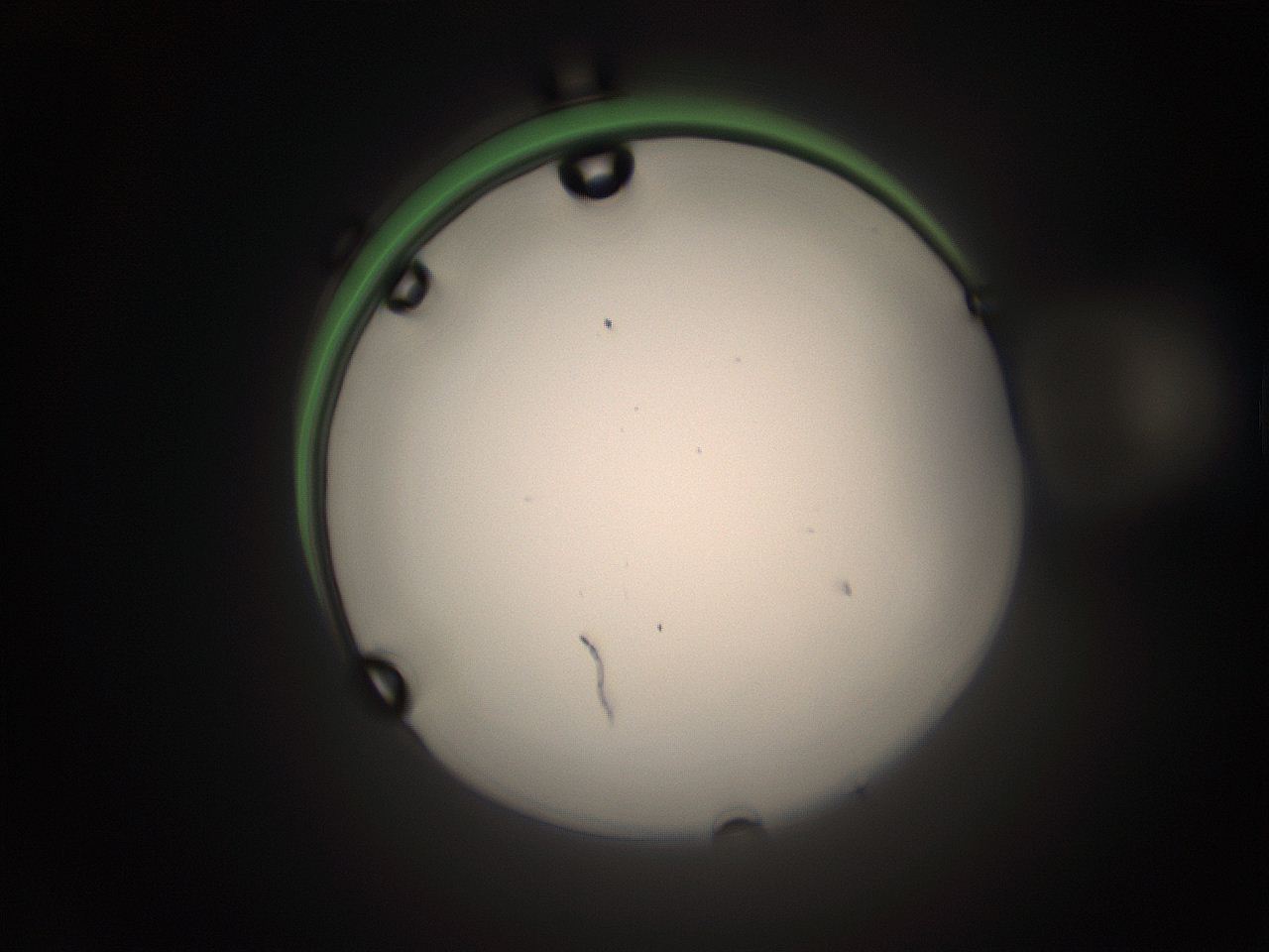 05tz_J22_ImagerDefaults_1.jpg