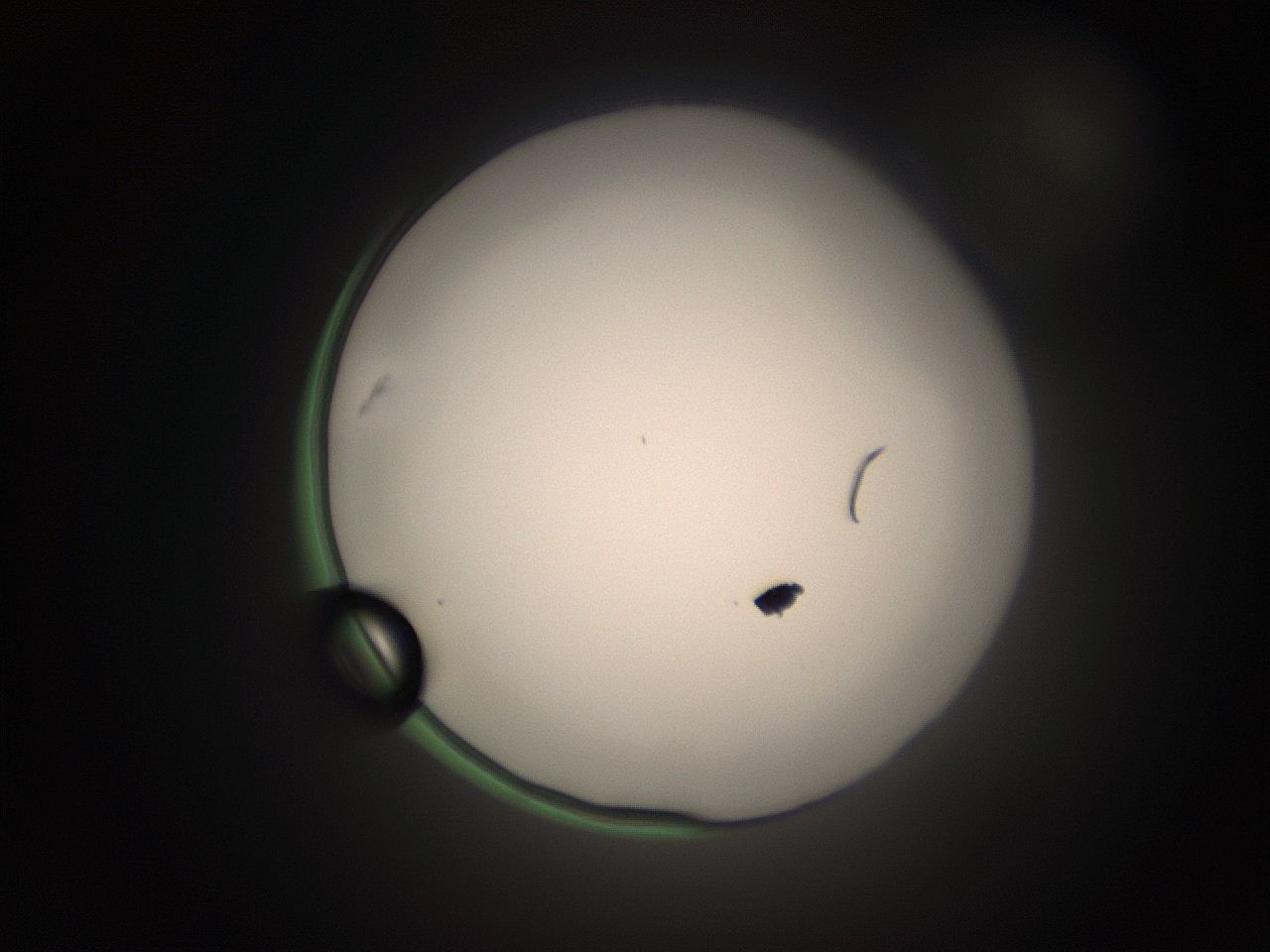 05tz_K2_ImagerDefaults_1.jpg