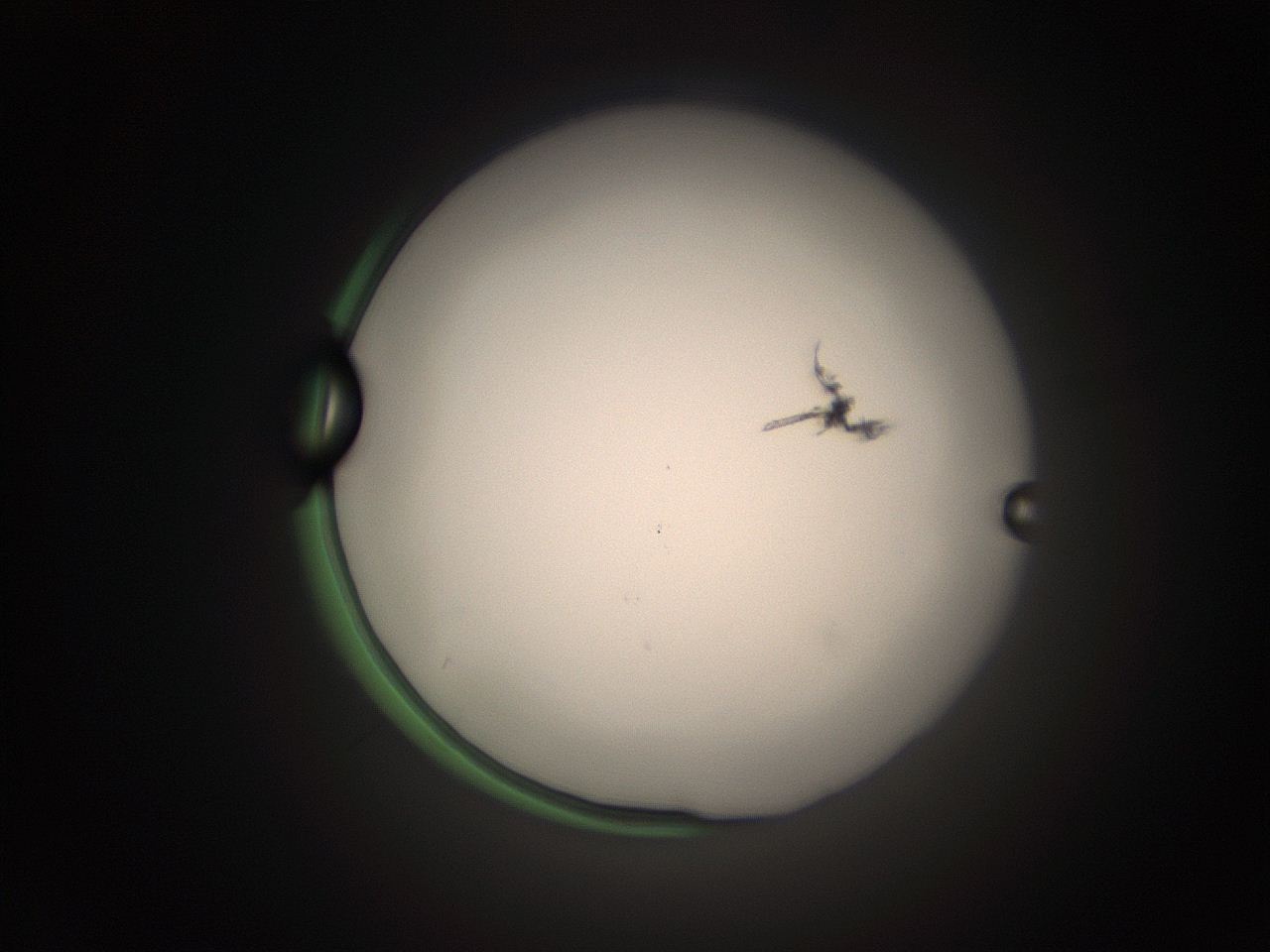 05tz_K5_ImagerDefaults_1.jpg
