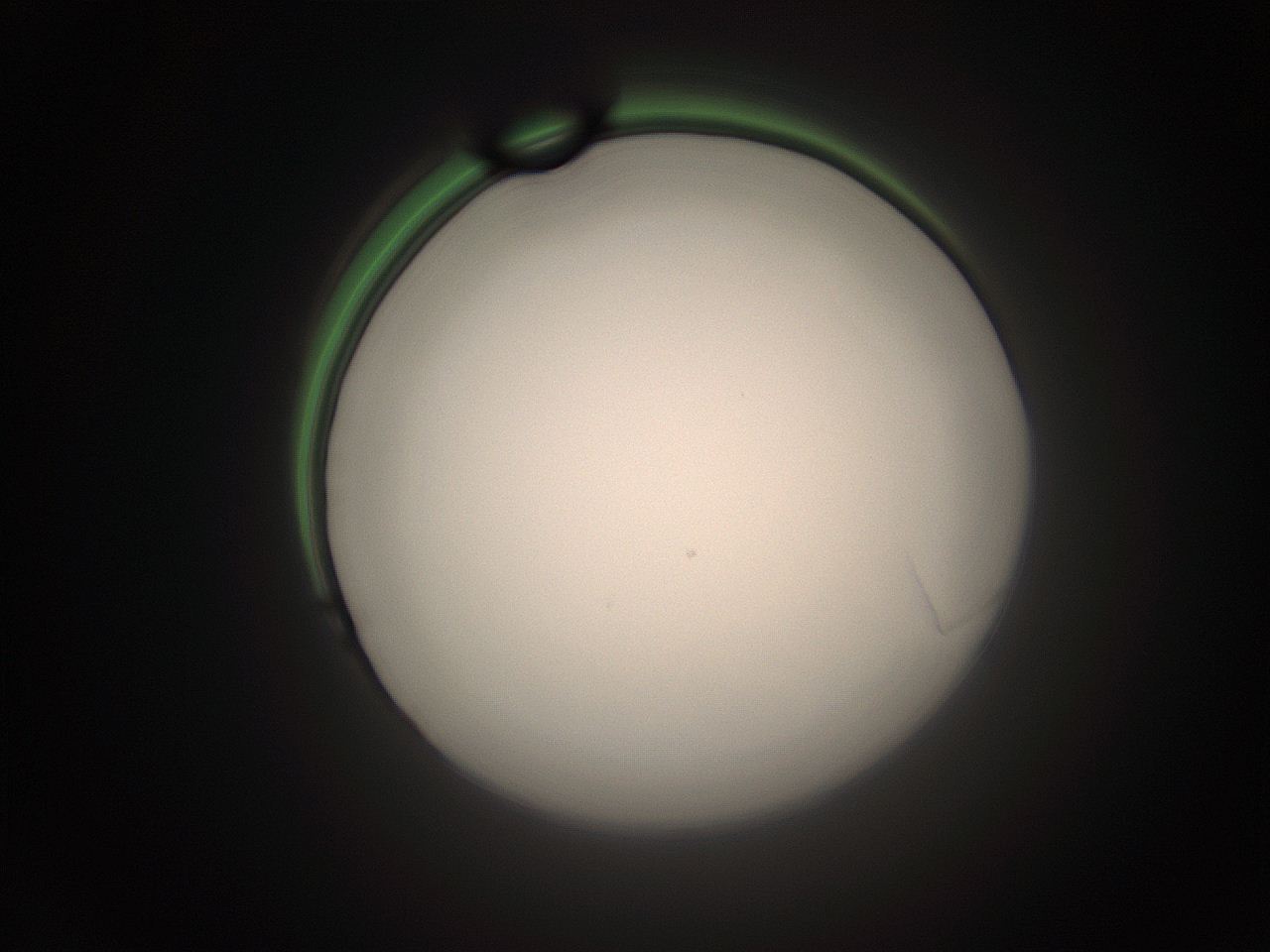 05tz_K21_ImagerDefaults_1.jpg