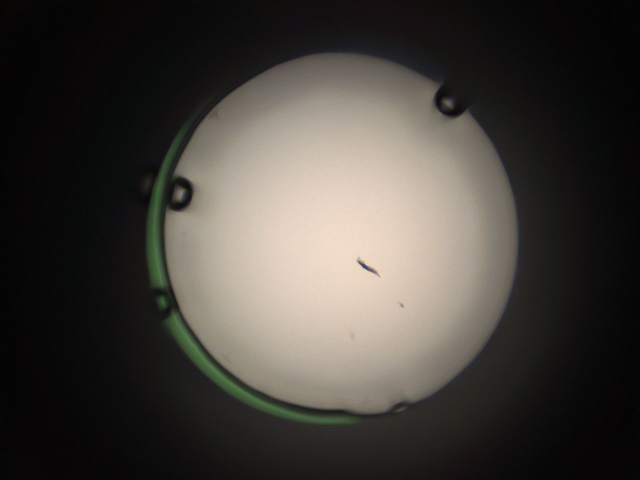 05tz_L4_ImagerDefaults_1.jpg