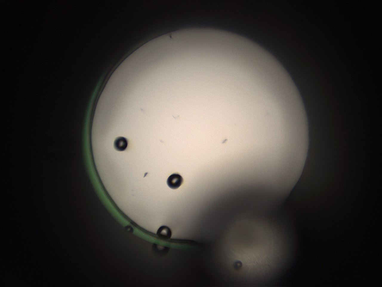 05tz_N1_ImagerDefaults_1.jpg